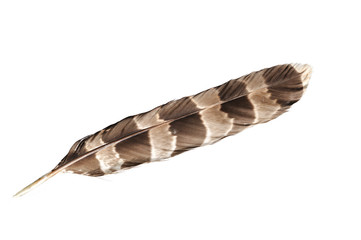 Feather © jirsacz