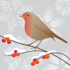 Robin and snowflakes