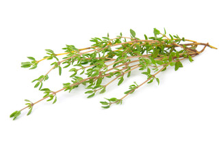 thyme on white isolated background