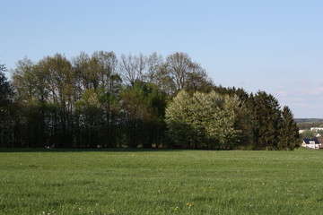 Landschaft blau grün