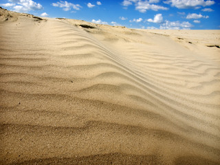 desert