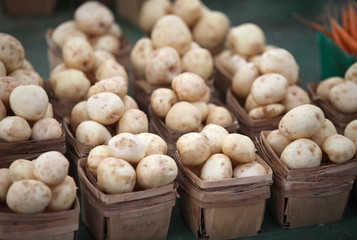 fresh potatoes