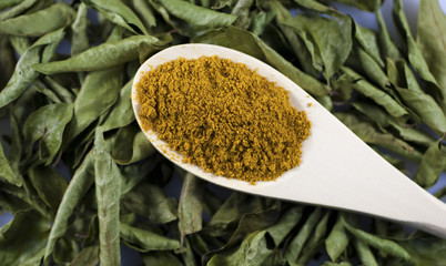 Curry leaves and powder