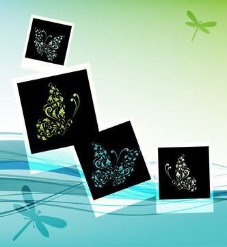 Collage design, insert your photos, background with butterflies