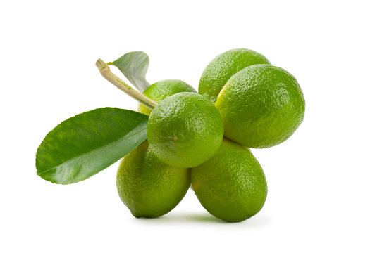 Limes on a branch on white background