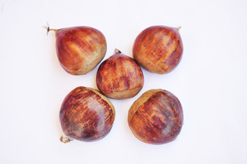 Fototapeta premium chestnuts