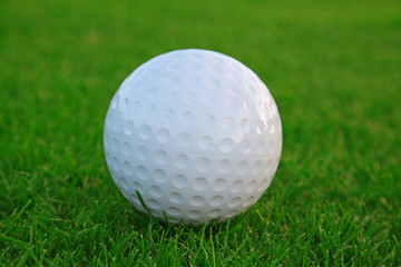 Golf ball on the green grass