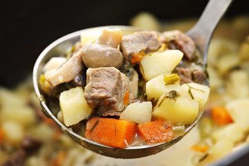 Beef stew in serving spoon