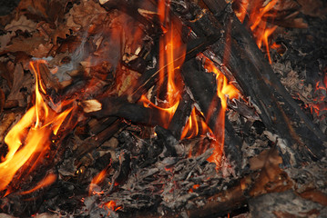 ateş