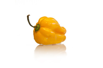 Habanero Chili