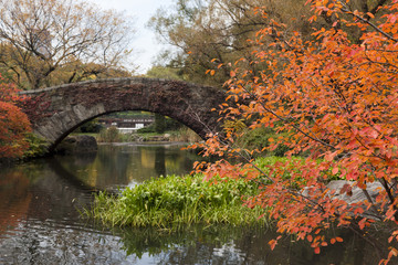 Fototapeta na wymiar Gapstow bridge - Central Park
