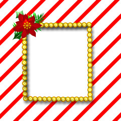 gold beads frame
