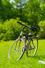 Fototapeta premium bicycle at sunny park