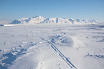 Arctic landscape - ski track