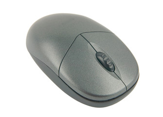 computer mouse isolated in white