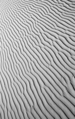 Sand Black and White Background Texture