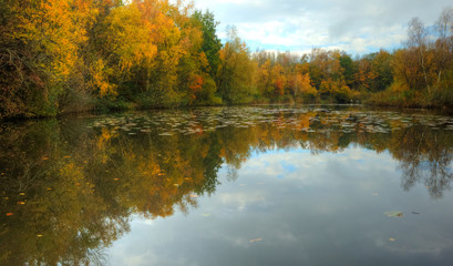 Beautiful Autumn Fall scene reflected in smooth lake