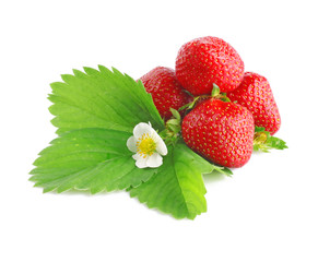 Strawberries with leaves and flower