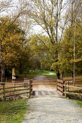 parco naturale autunno
