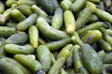 Cucumbers