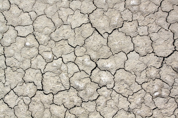 Dry soil with crack