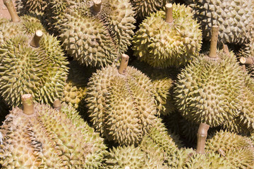 Naklejka na ściany i meble Heap of durians at a market in Asia