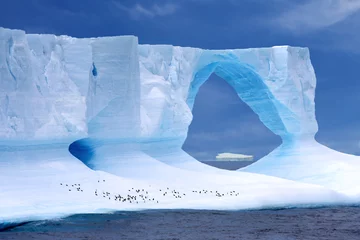 Foto op Aluminium IJsberg (Antarctica) - Antarctische ijsberg © MyWorld