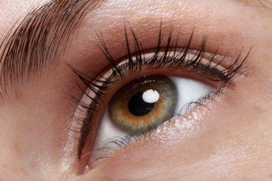 Brown Eye Close up