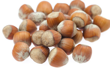 hazelnuts isolated on white