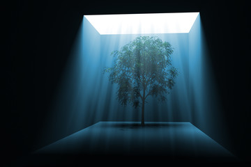 Tree in light