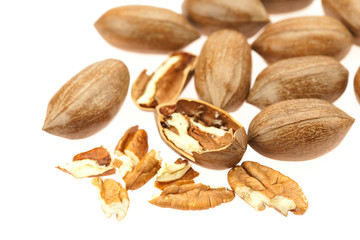 Pecan isolated on white