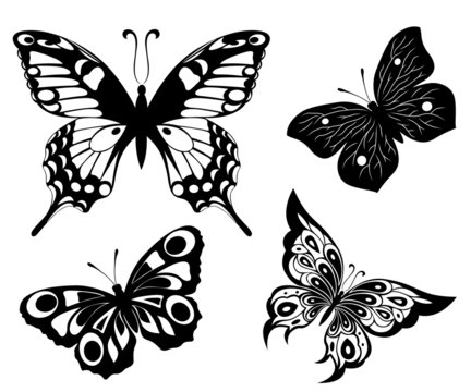 Black a white set of butterflies of tattoos
