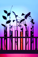 Flowers and plants in test tubes against a colorful background