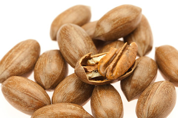 Pecan isolated on white