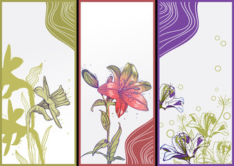vector  set of 3 floral cards