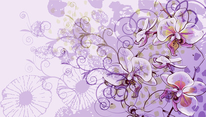 vector background with  gentle violet orchids