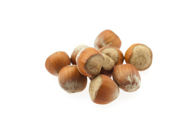 hazelnuts isolated on white