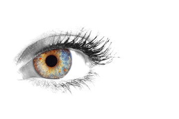 Beautiful Eye of Woman
