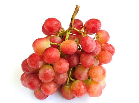 Red Grape on white Background