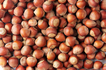 hazelnuts