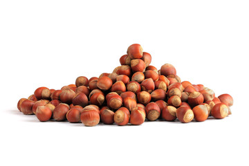 hazelnuts heap