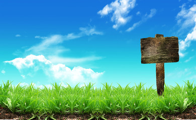 Wooden sign on blue sky .