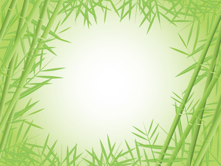 Vector bamboo background