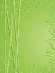 Vector bamboo background