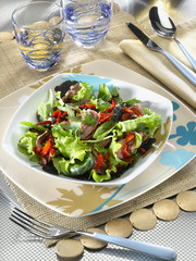 salade de boeuf - beef salad - insalata manzo