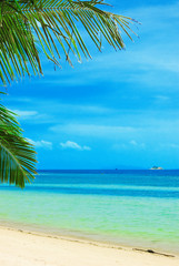 tropical beach © efired