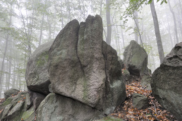 Felsen im Herbstwald