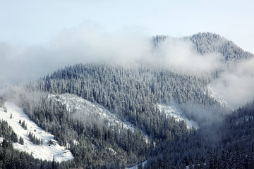 The mountain tops covered by a snow and clouds, near Seattle , U