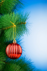 Christmas decoration on the tree - holiday concept