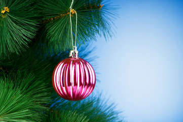 Christmas decoration on the tree - holiday concept